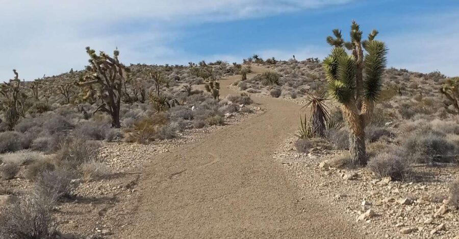 Las Vegas ATV Tours - Key Points