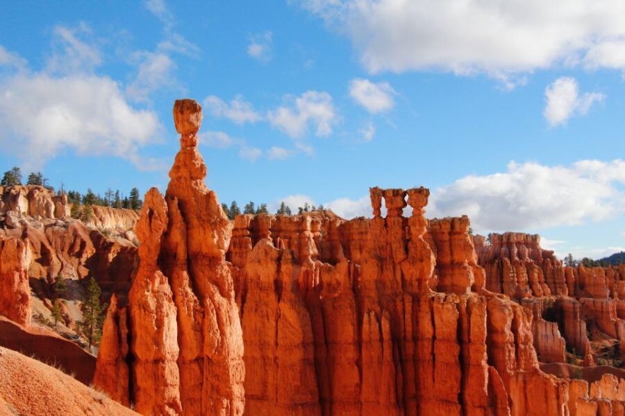 Las Vegas: Bryce and Zion National Parks Tour with Lunch - A Deep Dive Into the Experience
