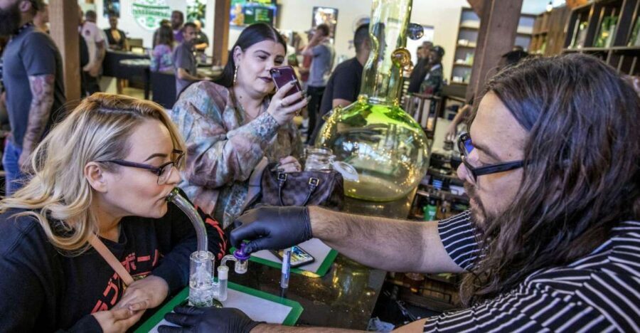 Las Vegas: Cannabis Tour with Weed Lounge & Party Bus - The Value and Practical Considerations