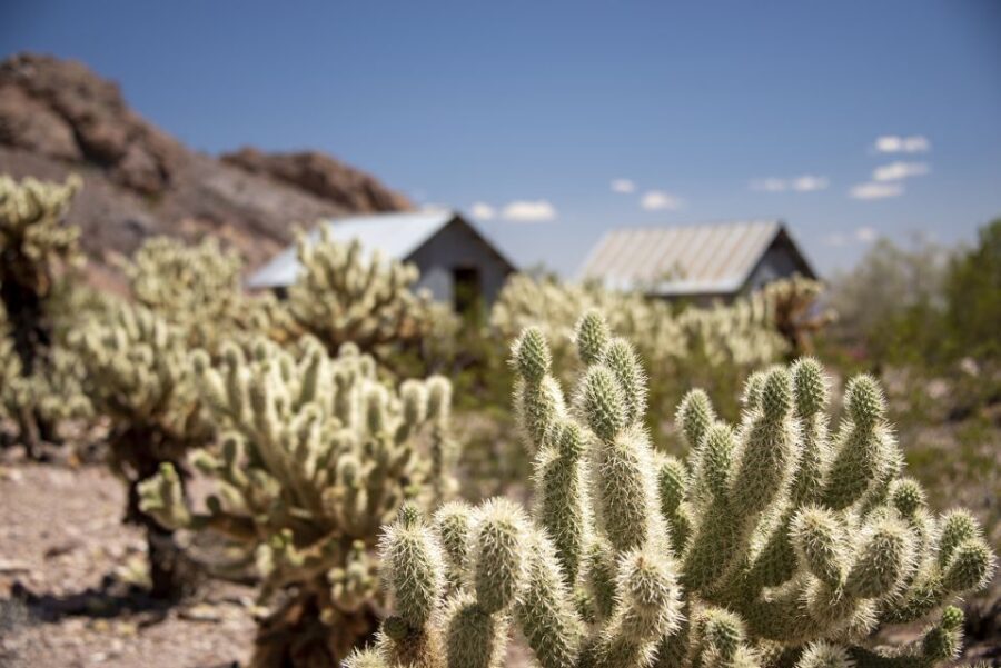 Las Vegas: Eldorado Canyon Gold Mine Tour - The Journey Through Eldorado Canyon: What to Expect