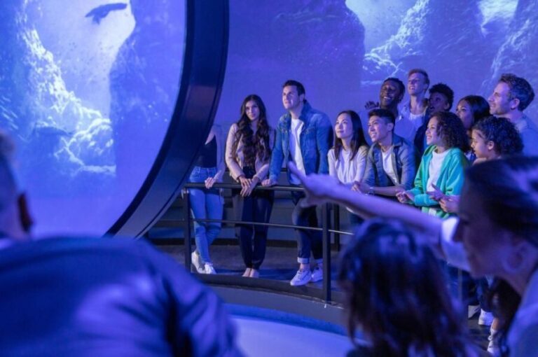Las Vegas: Flyover in Las Vegas Experience Ticket - Why This Tour Is a Good Fit