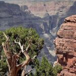 Las Vegas: Grand Canyon West, Hoover Dam & Optional Skywalk - What Makes This Tour Stand Out