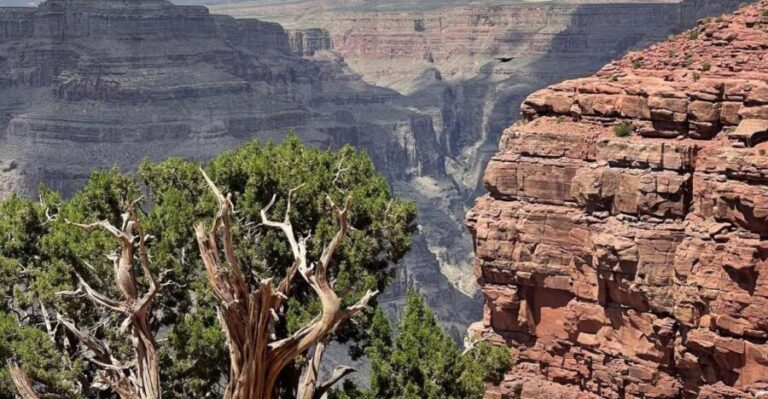Las Vegas: Grand Canyon West, Hoover Dam & Optional Skywalk - What Makes This Tour Stand Out