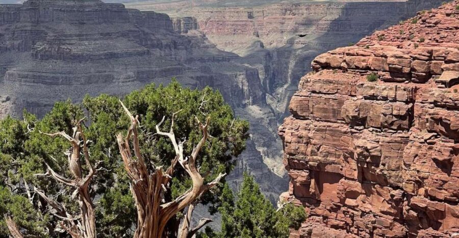 Las Vegas: Grand Canyon West, Hoover Dam & Optional Skywalk - What Makes This Tour Stand Out