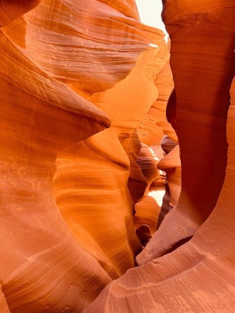 Las Vegas: Lower Antelope Canyon & Horseshoe Bend 1-Day Tour - Authentic Insights from Past Travelers