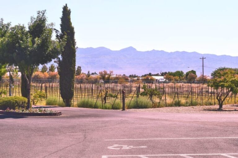 Las Vegas / Pahrump Wine Tasting Tour and snacks - What to Expect from the Experience