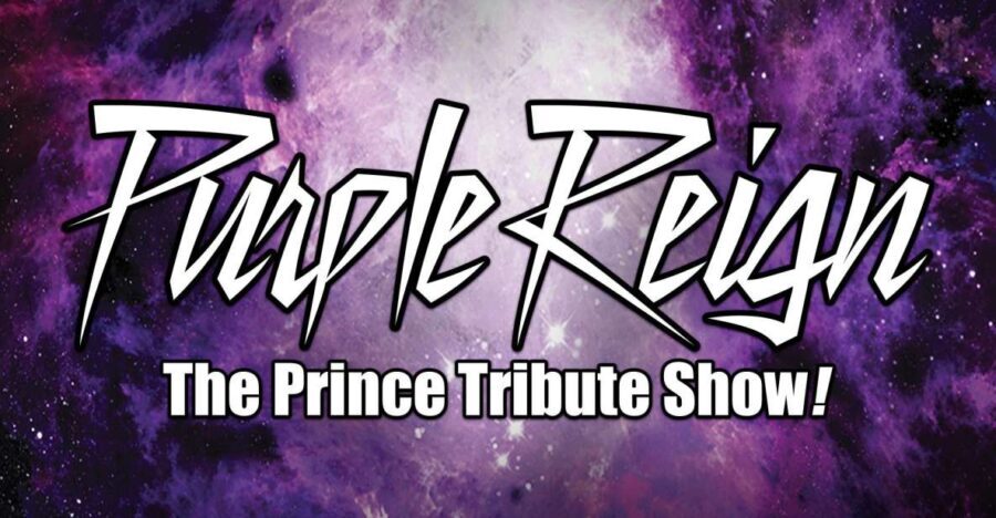 Las Vegas: Purple Reign, Ultimate Prince Tribute Show - Who This Experience Suits Best