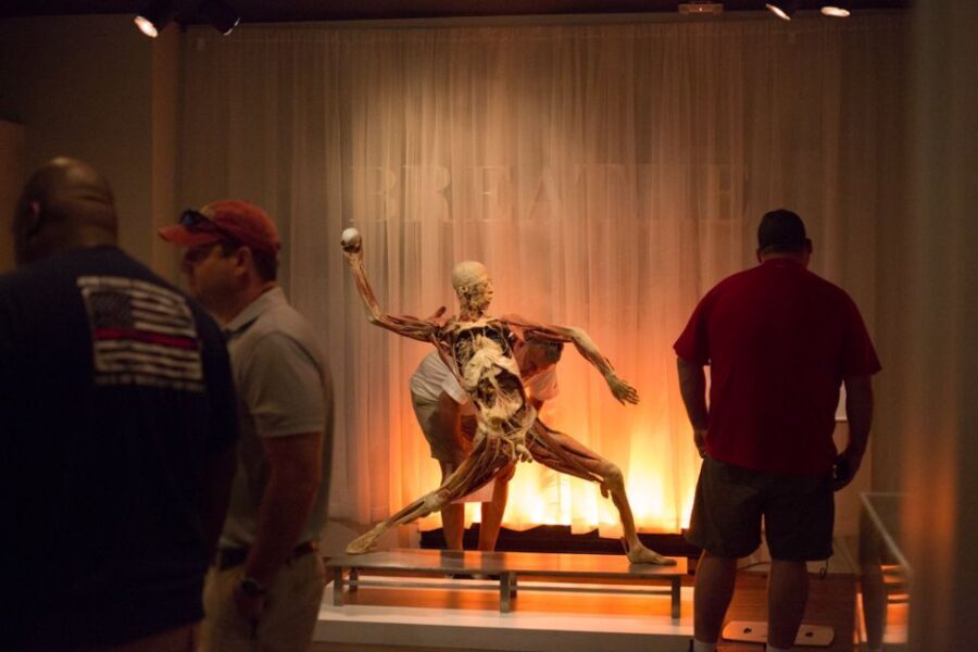 Las Vegas: REAL BODIES at Horseshoe Las Vegas Entry Ticket - Navigating the Space: What to Expect