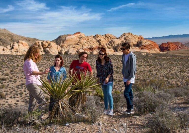 Las Vegas: Red Rock Canyon Tour & Rocky Gap 4x4 Adventure - The Off-Road Thrill