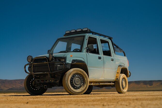 Las Vegas Strip and Downtown Las Vegas Guided Tours - Who Is This Tour Best For?