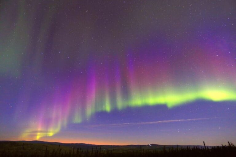 Late Night Yurt Dinner and Northern Lights - Who Is This Tour Best For?