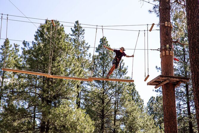 Ledgewood Adventure Course - Who Will Love the Ledgewood Adventure Course?