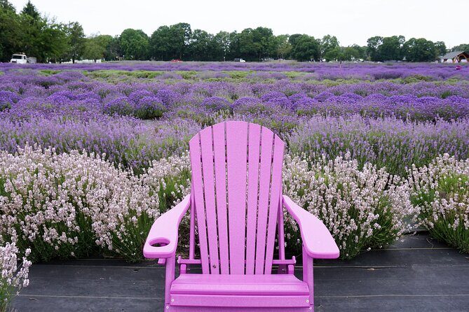 Lewin Farms, Lavender By The Bay and Tanger Outlets Full-Day Tour - The Sum Up: Is It Worth It?