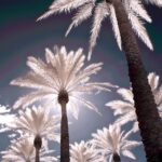 LGBT Bespoke Private Tour - Final Thoughts: An Authentic, Customizable Phoenix Adventure