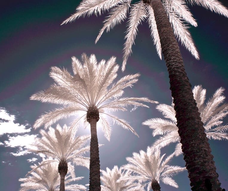 LGBT Bespoke Private Tour - Final Thoughts: An Authentic, Customizable Phoenix Adventure