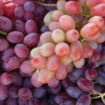 Lodi: Wine Tasting Tour Private Customized 1 -14 Group - Why Choose This Tour?