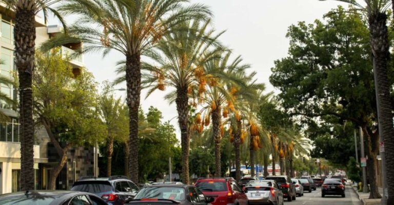 Los Angeles: 3-Hour Private Driving Tour w/ Local Guide - Is It Worth the Price?