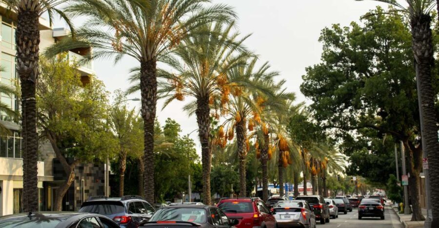 Los Angeles: 3-Hour Private Driving Tour w/ Local Guide - Is It Worth the Price?