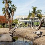 Los Angeles: La Brea Tar Pits Museum Ticket - What Youll Experience Inside