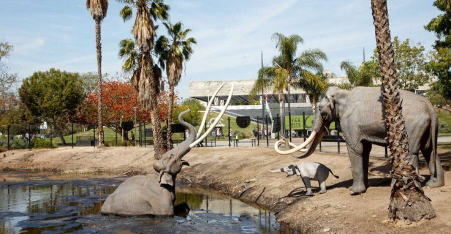 Los Angeles: La Brea Tar Pits Museum Ticket - What Youll Experience Inside