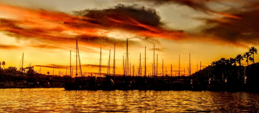 Los Angeles Luxury Cruise w/ Wine, Charcuterie & Sealions - The Verdict: Is This Experience Worth It?