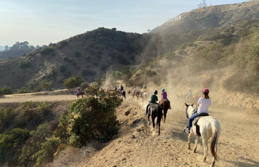 Los Angeles: Mulholland Trail Horseback Riding Tour - FAQs