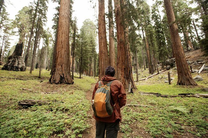 Los Angeles to San Francisco: California Parks Highlights Tour - Final Thoughts: Who Is This Tour For?
