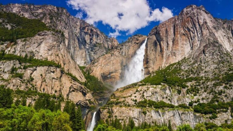 Los Angeles: Yosemite and Sequoia National Parks 2-Day Trip - What Makes This Tour Stand Out?