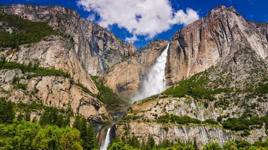 Los Angeles: Yosemite and Sequoia National Parks 2-Day Trip - What Makes This Tour Stand Out?