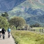 Los Olivos: E-Bike Tour + Vineyard Lunch w/Wine Tasting - What Makes This Tour Stand Out