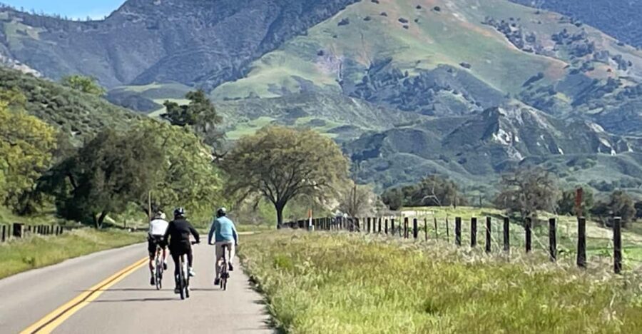 Los Olivos: E-Bike Tour + Vineyard Lunch w/Wine Tasting - What Makes This Tour Stand Out