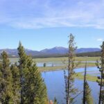 Lower Loop Yellowstone Wildlife Scenic - Jackson Hole Day Tour | WY - In-Depth Look at the Itinerary