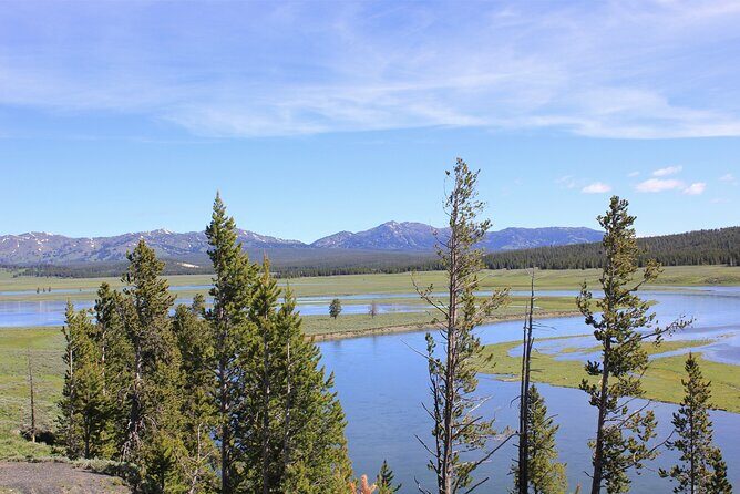 Lower Loop Yellowstone Wildlife Scenic - Jackson Hole Day Tour | WY - In-Depth Look at the Itinerary
