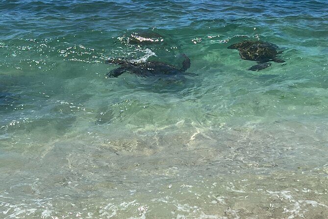 Luxury Private Circle Island Charter Tour - Who Would Love This Tour?