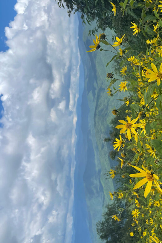 Maggie Valley: Guided Safari Jeep Mile-High Adventure - The Itinerary: What to Expect at Each Stop