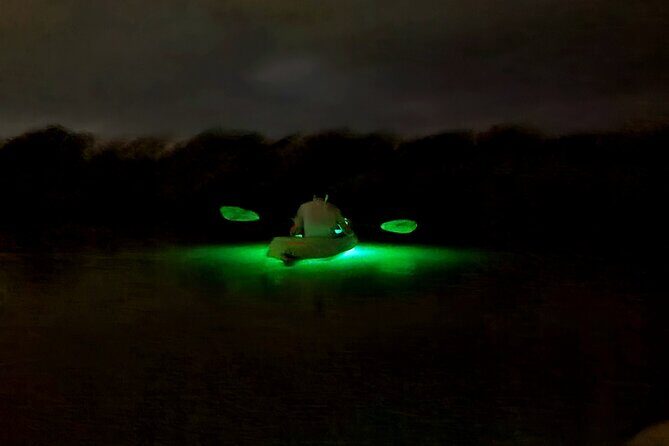 Magical Nite Glow Kayak Tour - The Experience Breakdown