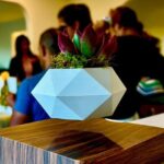 Magnetic Floating Terrarium Workshop - Who Would Love This Experience?