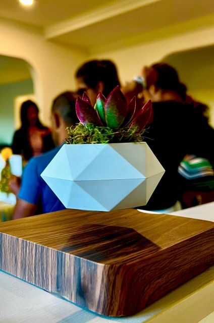 Magnetic Floating Terrarium Workshop - Who Would Love This Experience?