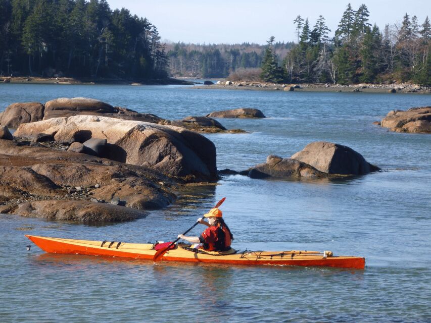 Maine: Penobscot River Guided Kayaking Tour - Why We Think It’s a Great Choice