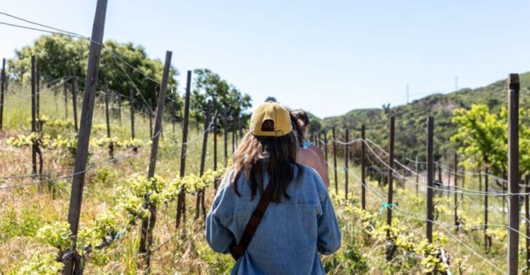 Malibu: Guided Vineyard Hike with Photo Stops and Wine - Key Points