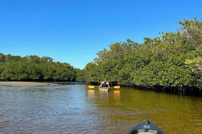 Manatees, Grasslands and Mangroves kayak Tour (Small Group Tour) - Final Thoughts