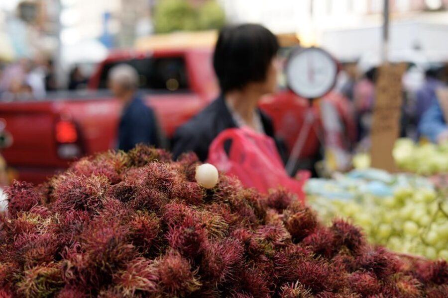 Manhattan: Chinatown Food Tour with a Chef - What Makes This Tour Stand Out?