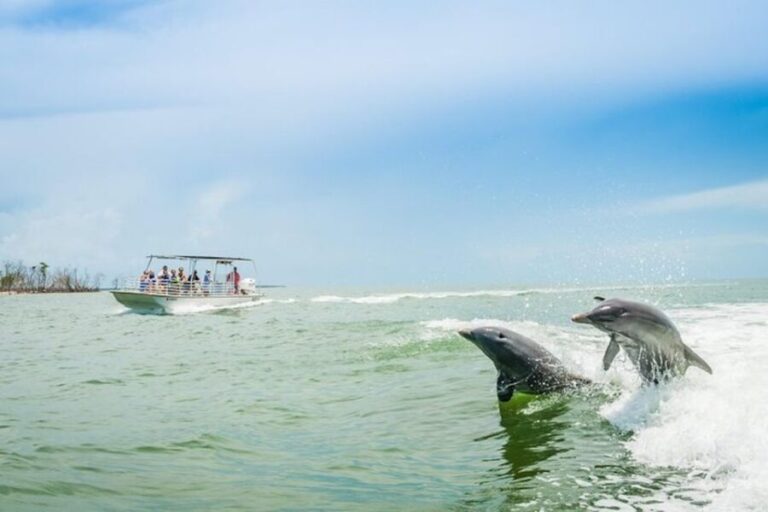 Marco Island: Dolphin-Watching Boat Tour - Practical Details & Tips