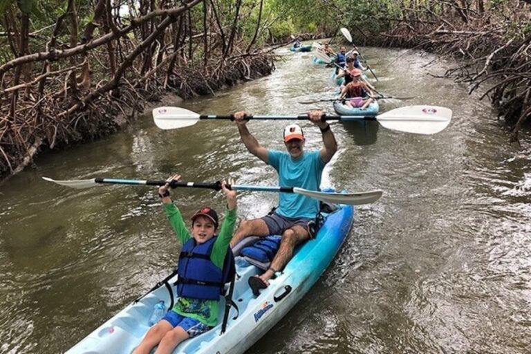Marco Island: Kayak Mangrove Ecotour in Rookery Bay Reserve - The Sum Up