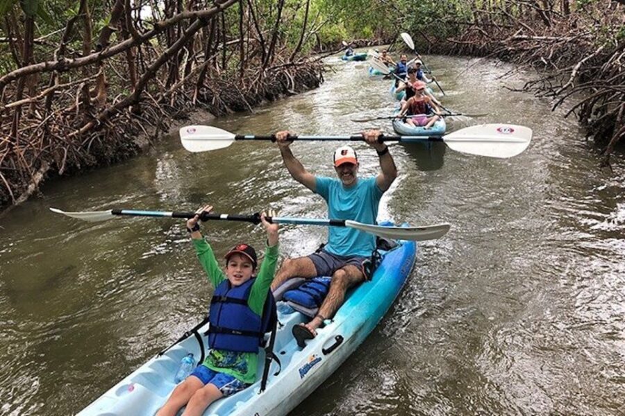 Marco Island: Kayak Mangrove Ecotour in Rookery Bay Reserve - The Sum Up