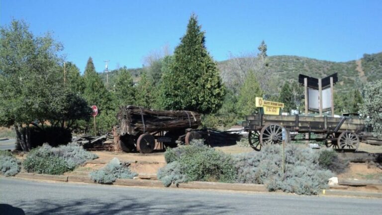Mariposa: Museum and History Center General Admission Ticket - Who Will Enjoy This Visit?