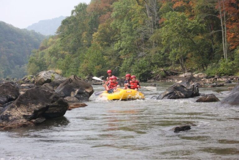 Marshall: French Broad Whitewater River Rafting Experience - Who Will Love This Tour?