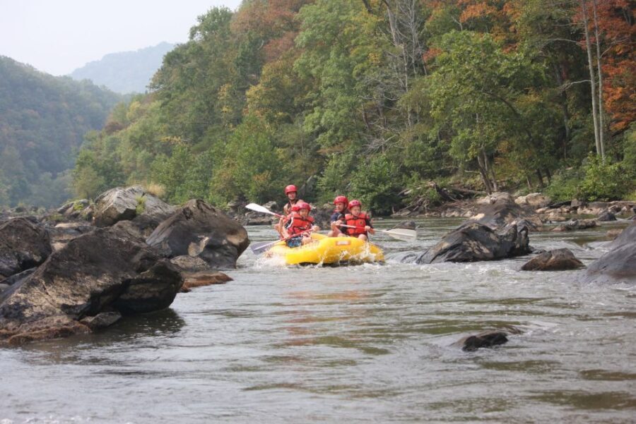 Marshall: French Broad Whitewater River Rafting Experience - Who Will Love This Tour?