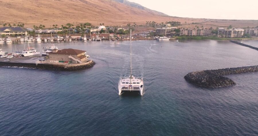 Maui: Alii Nui Whale Watch & Catamaran Sail - Final Thoughts