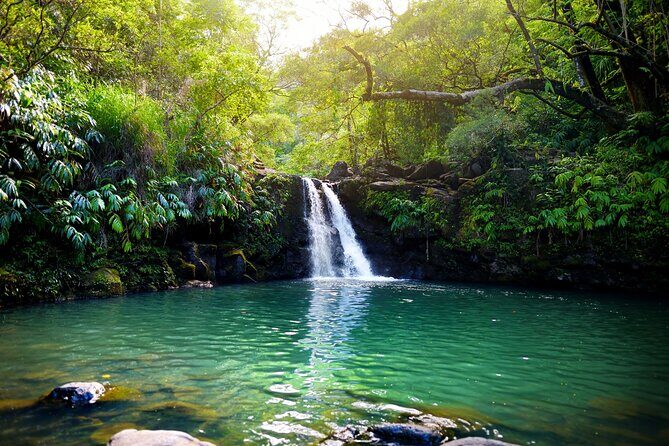 Maui Beach Parks Self-Guided Driving Tour - Why This Tour Works for You